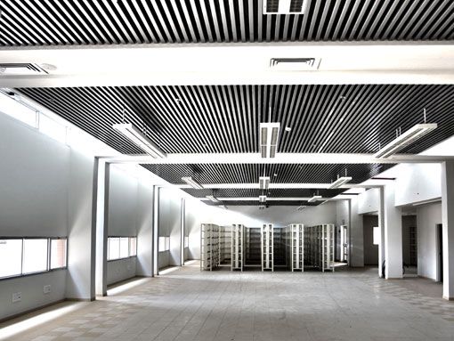 or_l_0001_IMG_1072(2)